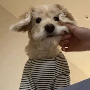 Meet your Posher, Hhjj